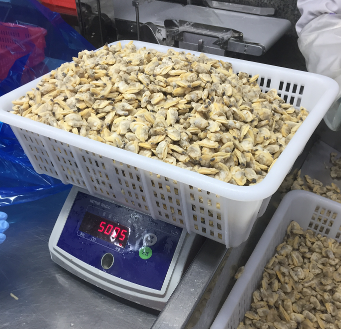 Wysokiej jakości zamrożone gotowane krótkie szyje małże mięso