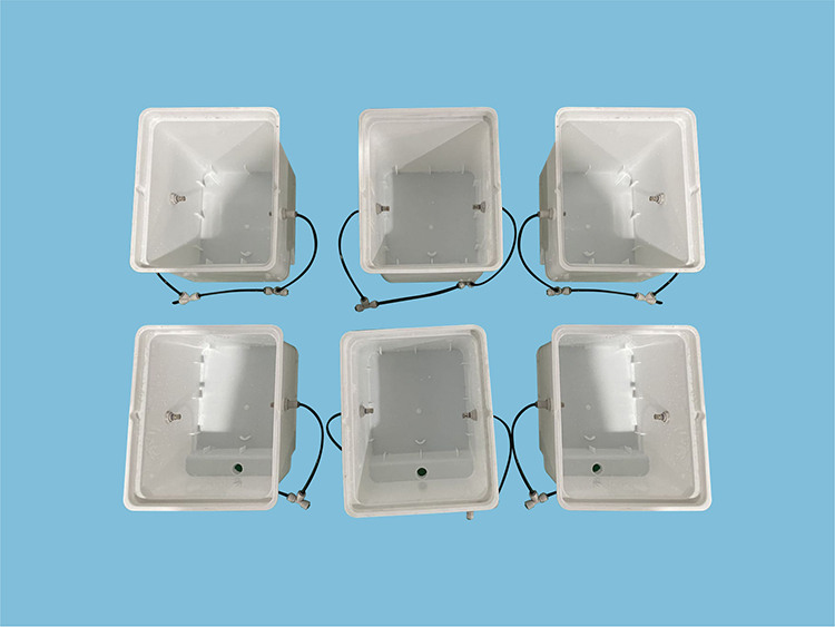 Hydroponic Dutch Bucket System for growing vegetable