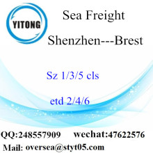 Shenzhen Port LCL Consolidation To Brest