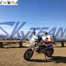 SKYTEAM 125CC 4-STROKE BAJA DIRT BIKE