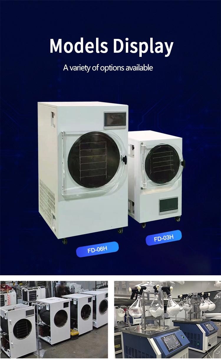 Hot Sale Industrial Small Volume Lyophilizer Freeze Drying Machine