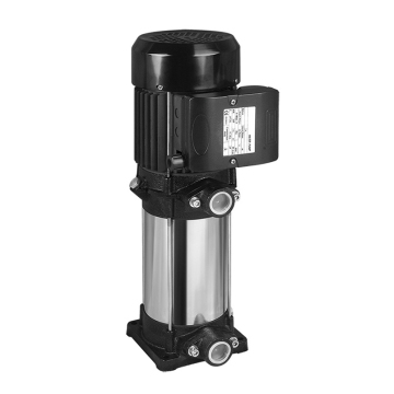 Centrifugal MV Multi-stage Vertical Water Pump for Vietnam Market