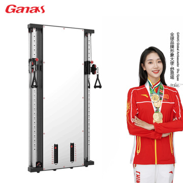 Bilateral Wall Mounted Functional Trainer White Mirror