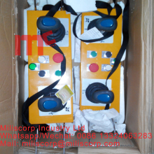 Tower crane remote control