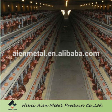 chicken cage for poultry farm for nigeria