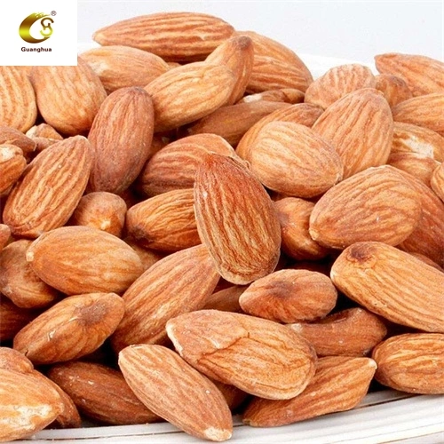 High Quality Best Taste Shelled Almond New Crop