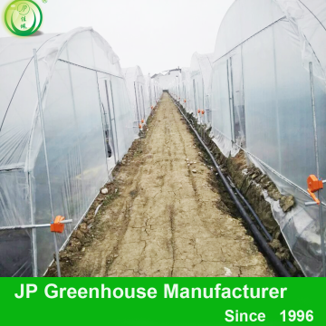 agriculture greenhouse poly tunnel