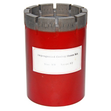 Casing shoe, casing shoe bit, casing protector