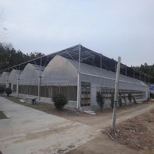 Multi-span agricultural hydroponics equipment greenhouses