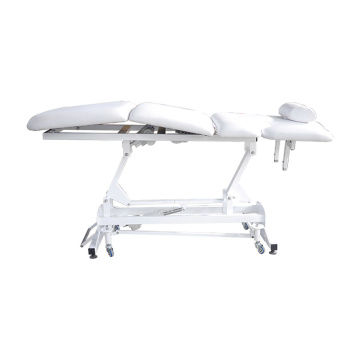 Wholesale White Electric Facial Bed TS-2120