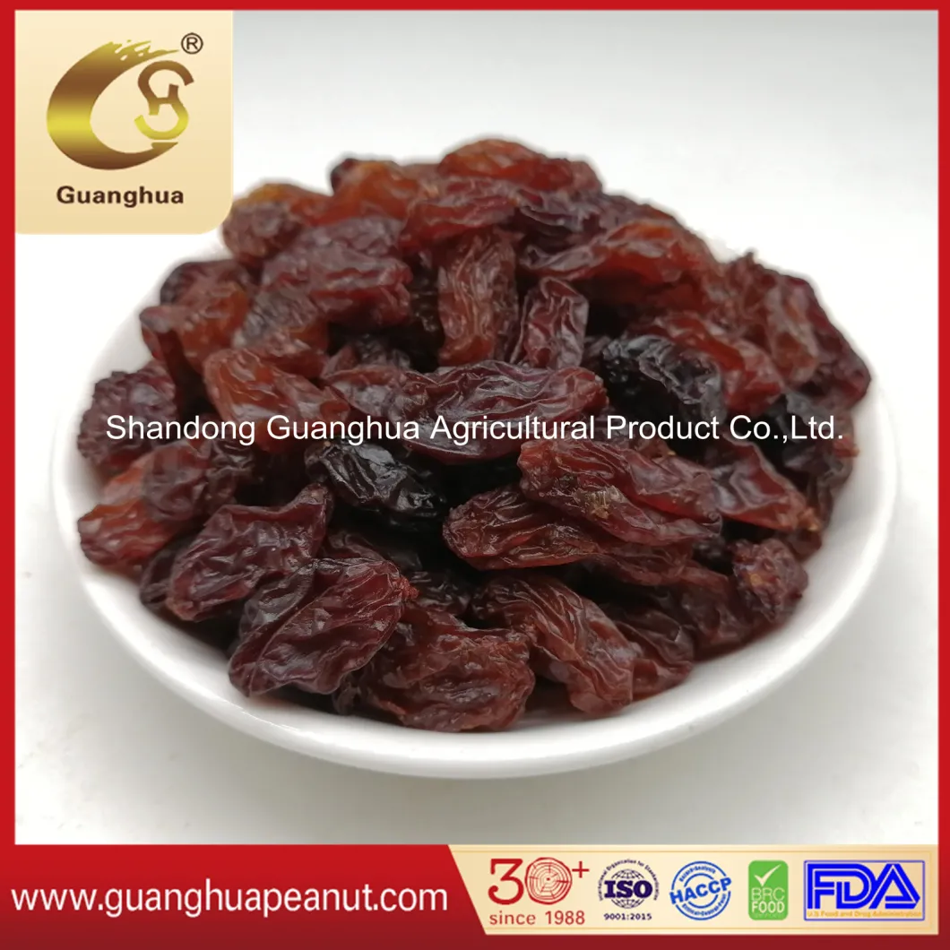 Hot Sale Good Quality Raisins Black Raisin Yellow Raisin Green Raisin Red Raisin Grape