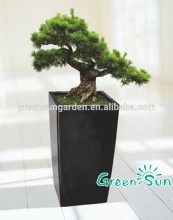 bonsai plastic pot