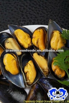 seafood frozen boiled mussel with shell