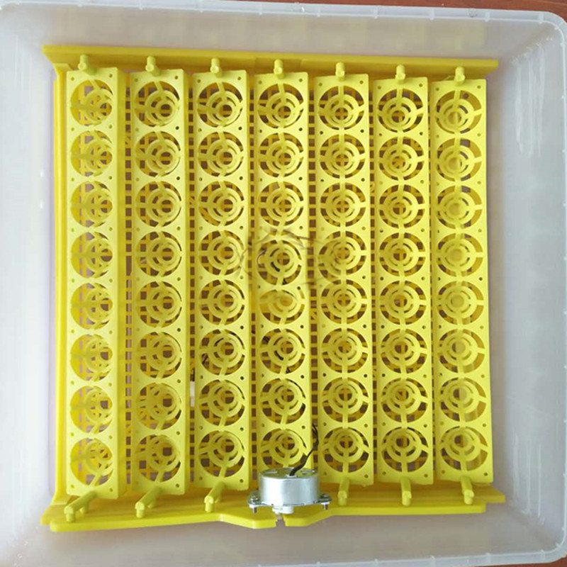 High Capacity Egg Tray Incubator With Sturdy