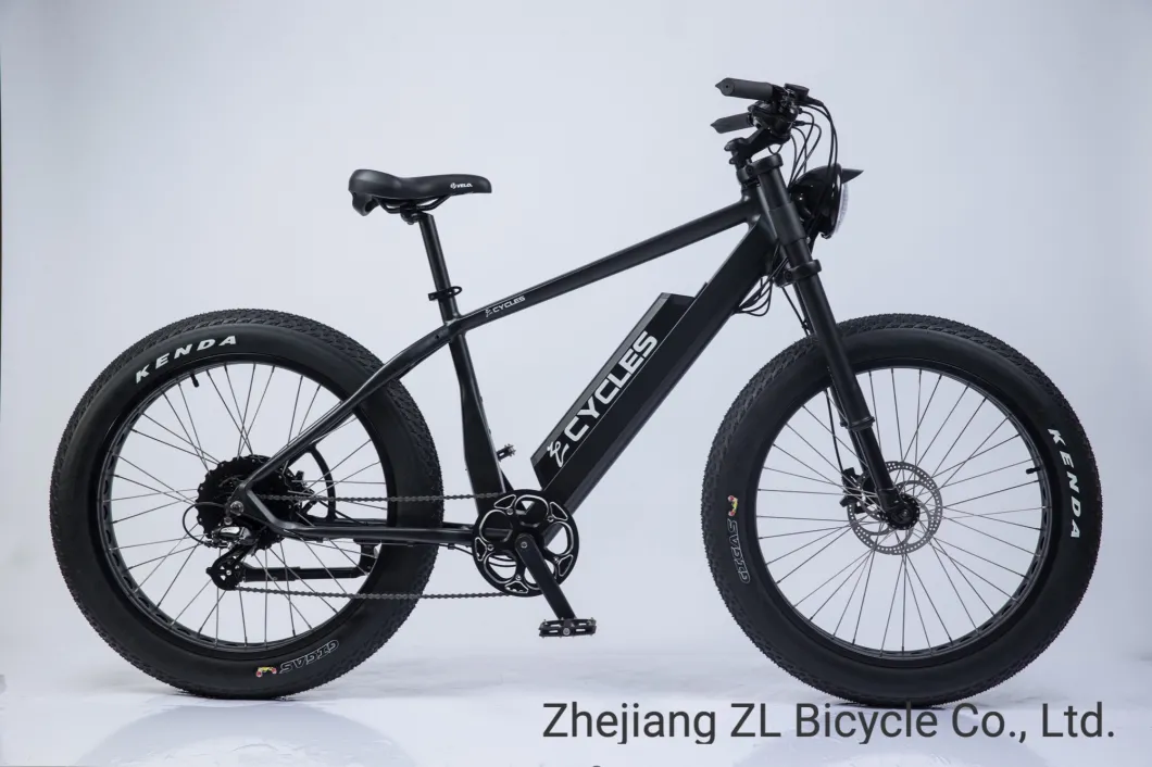 Comfort Bike Fat Tyre Shimano External 7 Speed Electric Bicycle