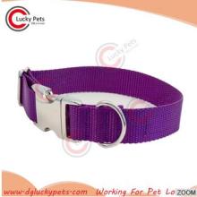 Pet accessories, durable bright purple nylon dog training collar