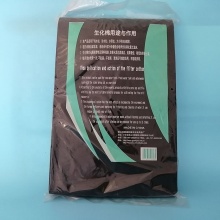 Aquarium Internal Carrier Bio Porous Ac Filter 20X25x1