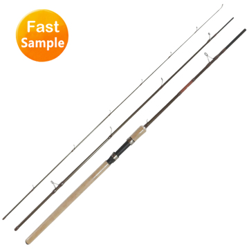 Double Winner 3-Piece Trout Spinning Rod for Fishing