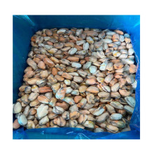 frozen blue mussel china supplier frozen iqf blue mussel detail frozen green mussel detail