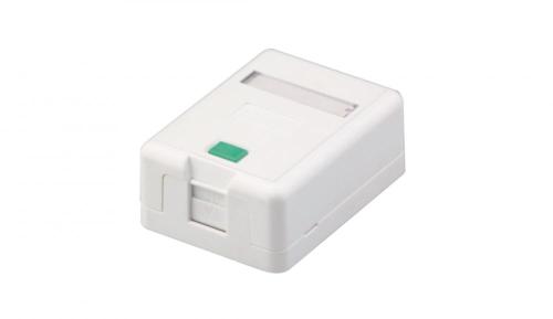 Leere Fläche Mount Box Single Port RJ45