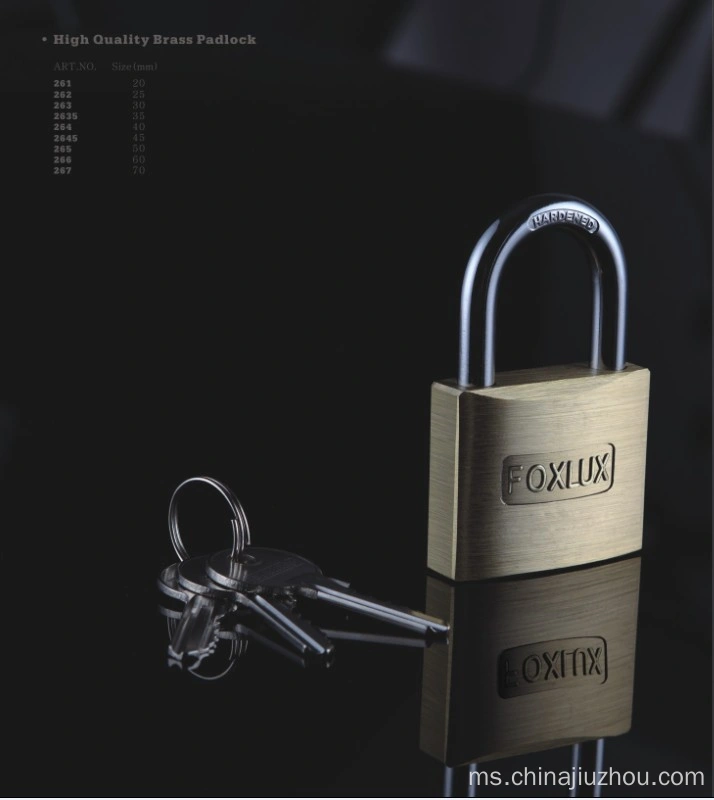 Padlock Kunci Mangga In English