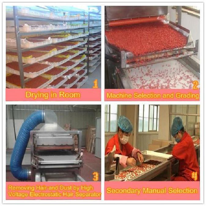 Goji berry processing