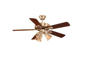 classic ceiling fan with glass light