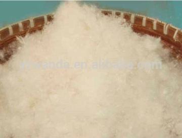 Fresh washed white 80% duck down 20% feather wholesale