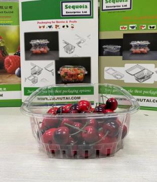 Novel Design Transparent Packaging Fruit Tomato Plastic Box