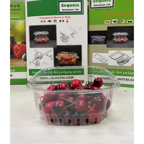 Caja de plástico de tomate de fruta de embalaje transparente de nuevo diseño