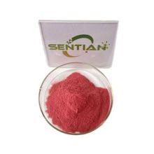 High Quality Cactus Extract Powder