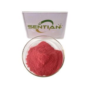 High Quality Cactus Extract Powder