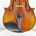 Beginner students ordinary violin