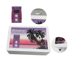 Mini Portable Home Ozone Generator 110v FM-300 Water/Air Purifier