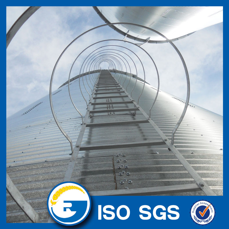 Silo Roof Ladder