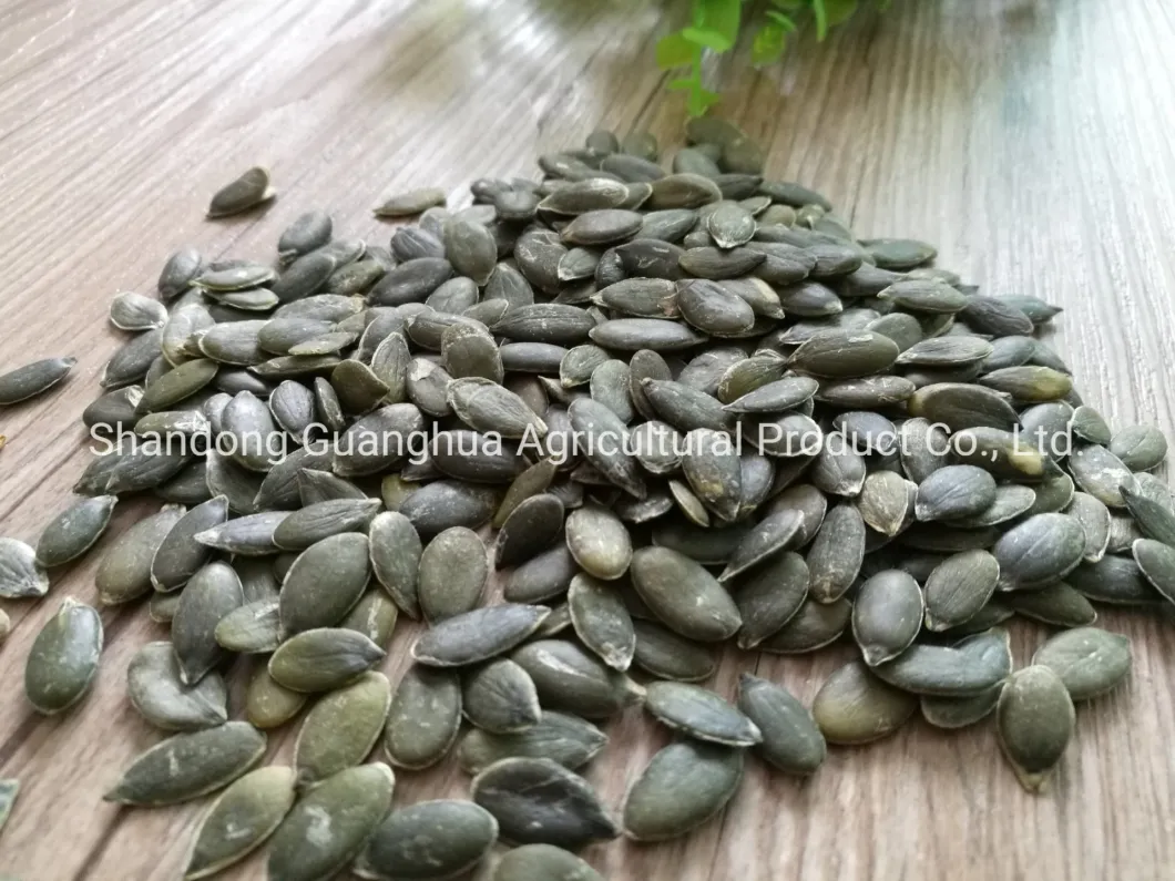 New Crop AAA Grown Without Shell Pumpkin Seeds (GWS)