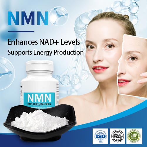 Alimenter la bêta nicotinamide mononucléotide poudre pure nmn