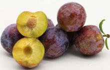 delicious fruit smoothie recipes