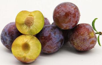 delicious fruit smoothie recipes