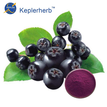 Aronia Extrakt Werksversorgung