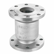 Vertical flange check valve