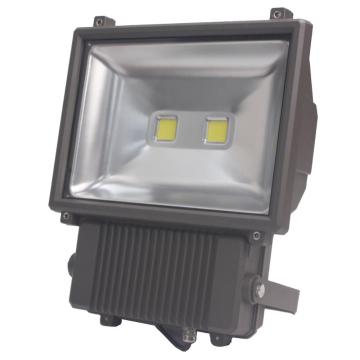 COB Outdoor led RGB flood light