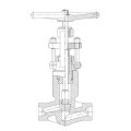 Vanne en acier forgé (pression joint Bonnet)