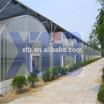 Tunnel Plastic Film Greenhouse