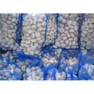 Sacos de alho de malha de monofilamentos pe