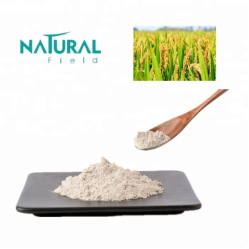 Et poudre de protéine de riz blanc biologique certifiée sans OGM