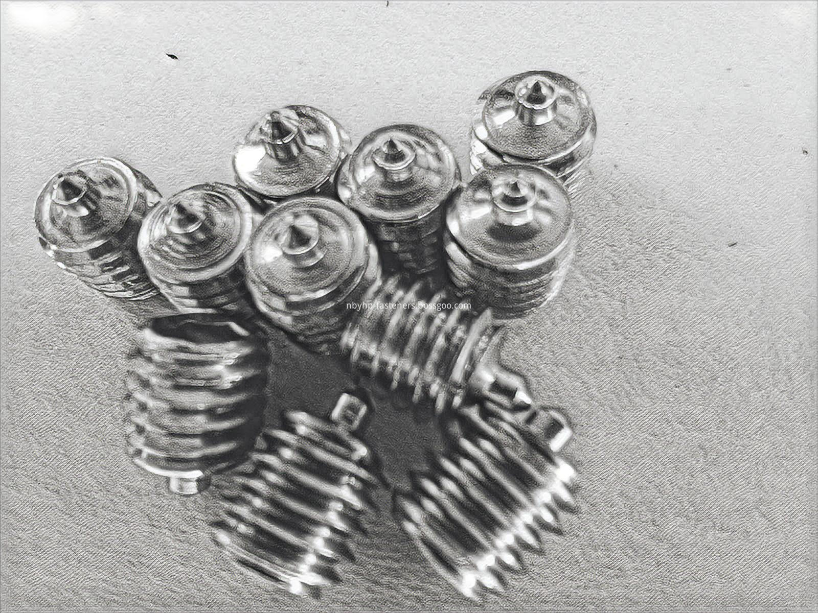 INNER SCREWS