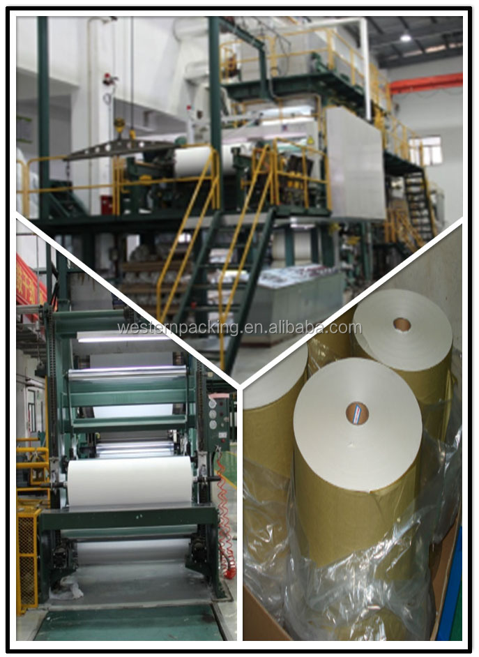 tea bag filter paper rolls, tea bag filter paper roll in Guangzhou