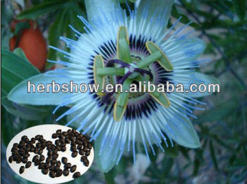 High Quality Passion Flowers seeds for growing