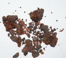 Good Quality Commiphora myrrha